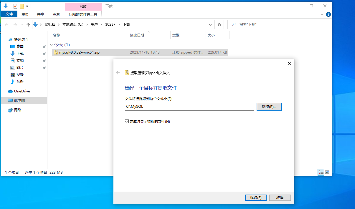image-20231118184835278